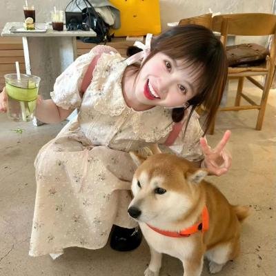 野猪大改造